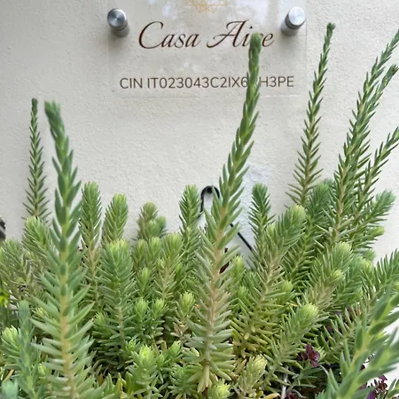 公寓式酒店 Casa Aire *