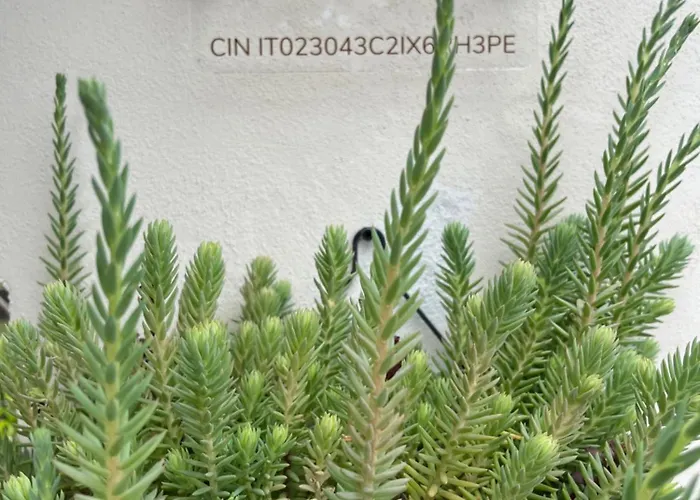 מלון דירות Casa Aire 3*